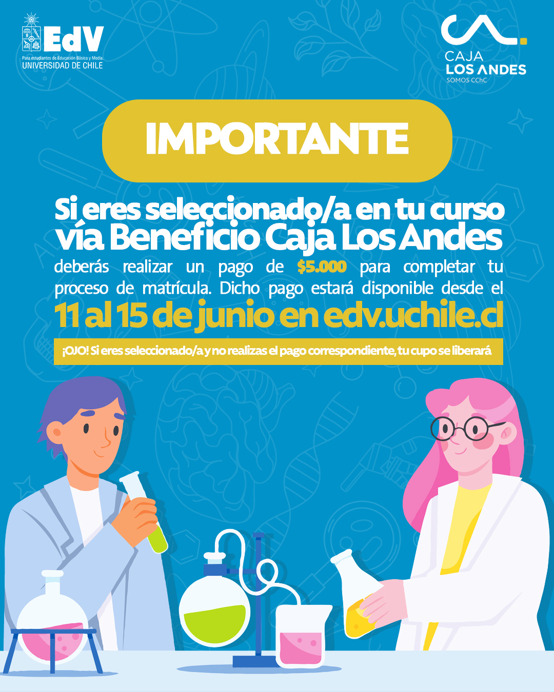 CAJA ARANCEL 7