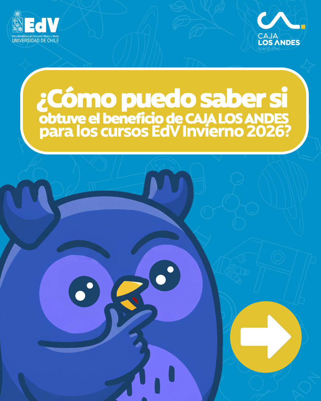 CAJA RESULTADOS 1