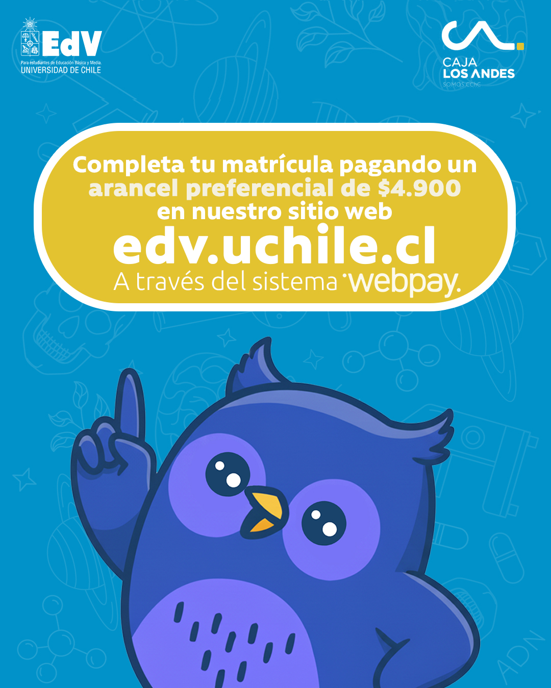 CAJA RESULTADOS 3