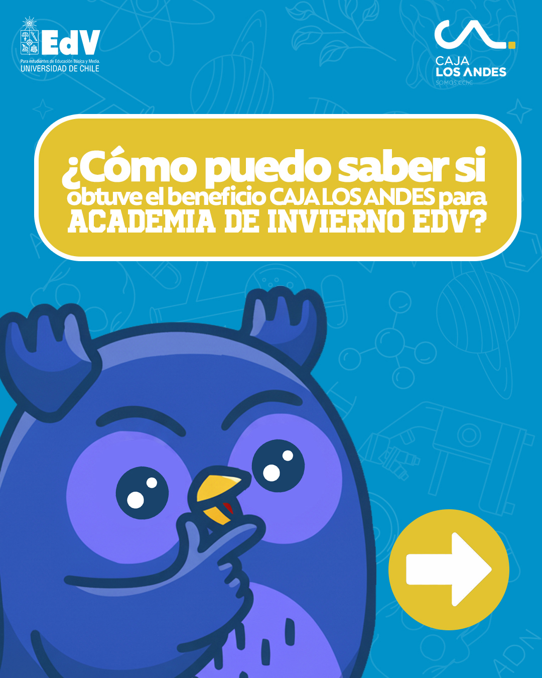CAJA RESULTADOS 1 copia